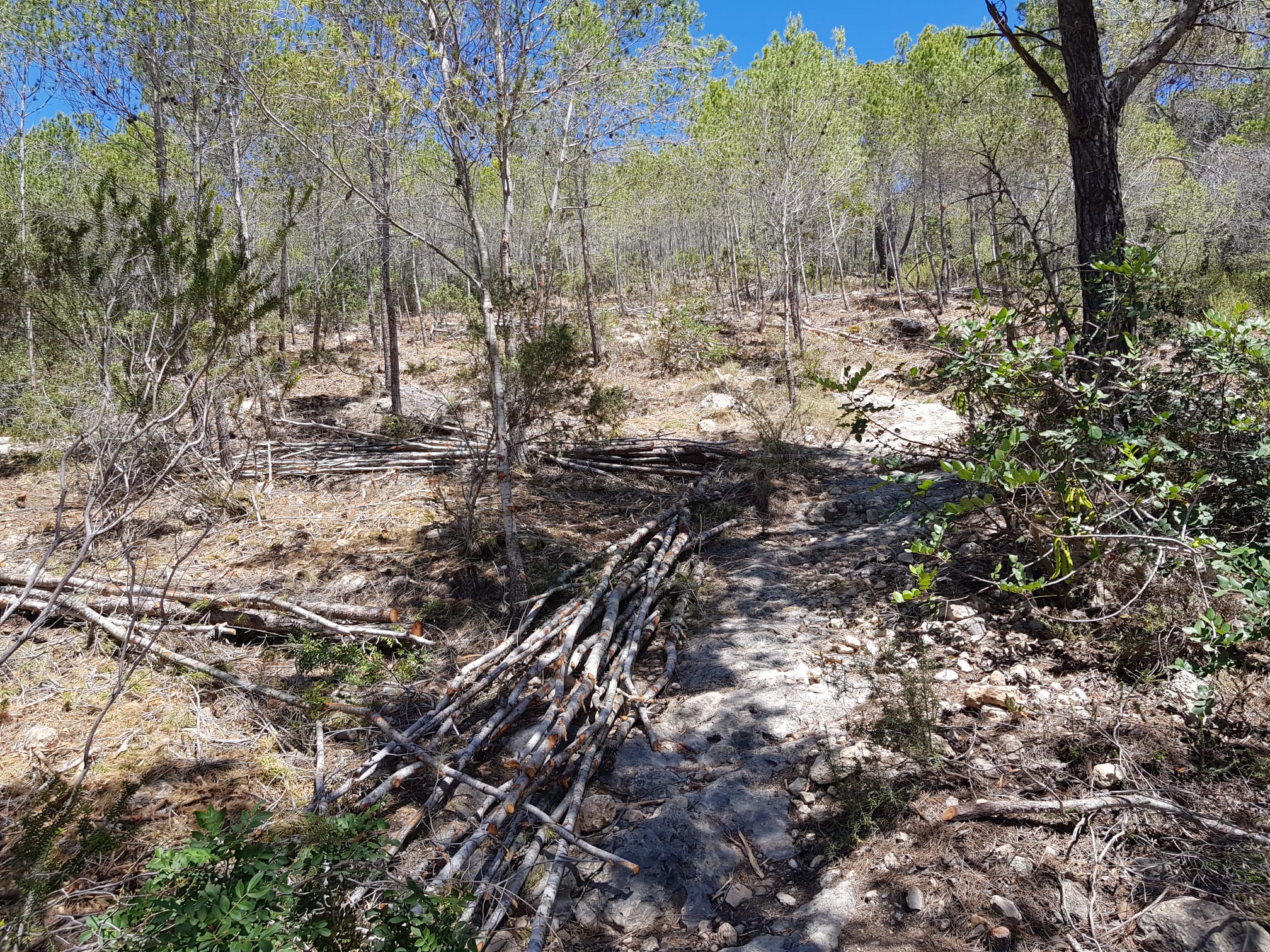 ajudes faixes anti incendis