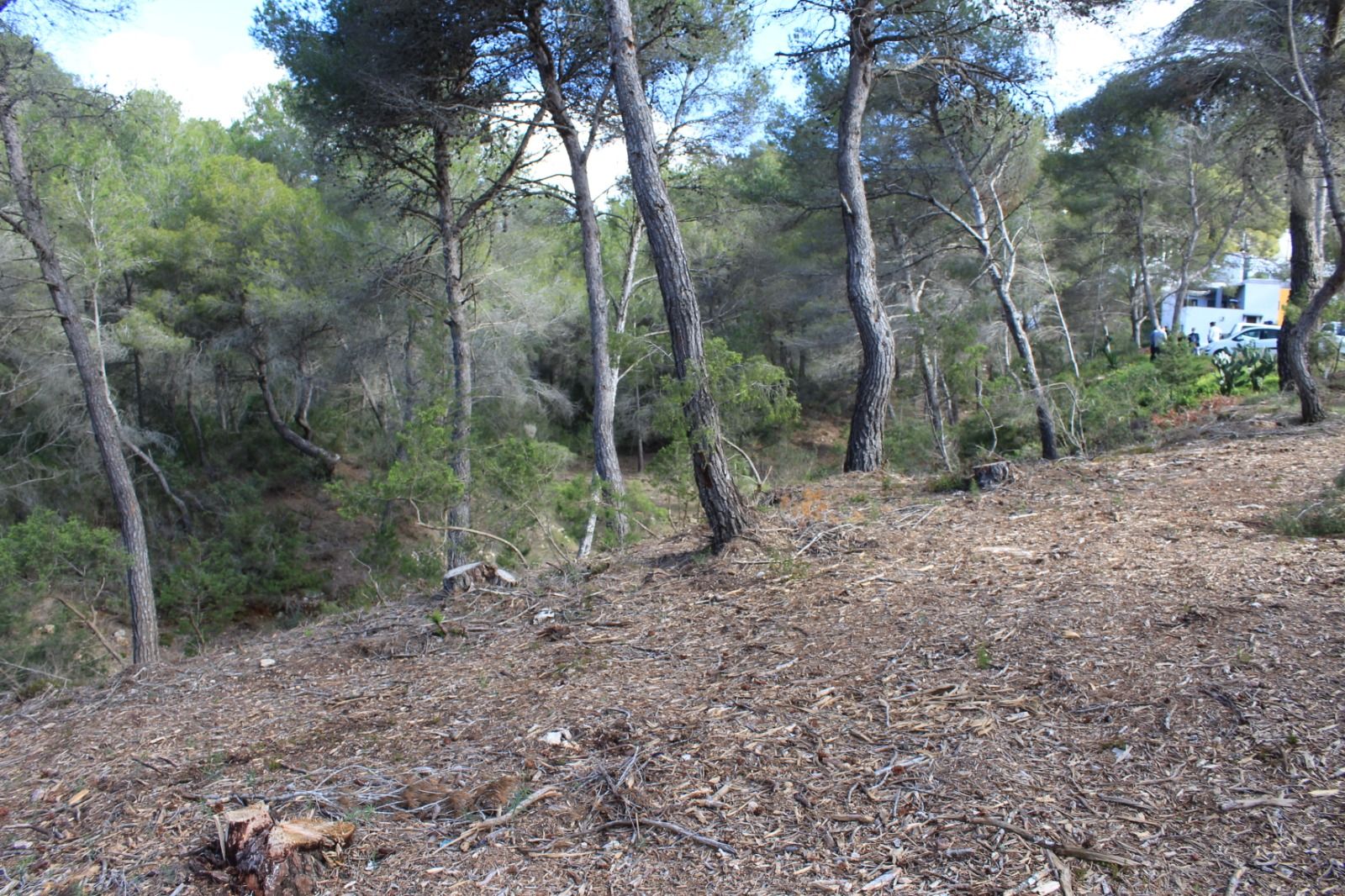 Adjudicadas provisionalmente una decena de ayudas a particulares para ejecutar fajas de protección contra incendios