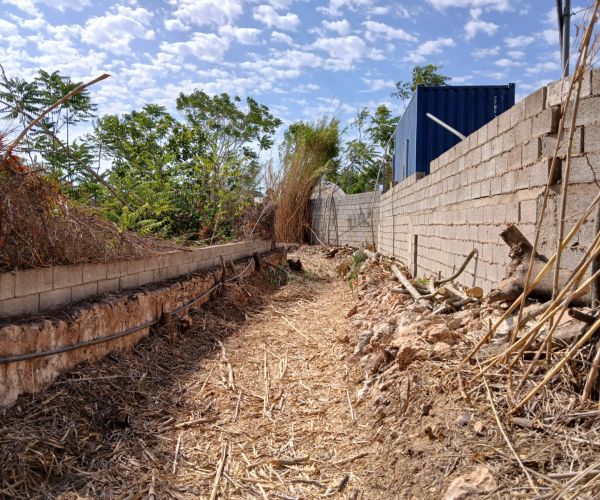 L'Ajuntament de Santa Eulària esbrossa i condiciona camins i canals de ses Feixes des Prat de ses Monges i de la Séquia de sa Llavanera