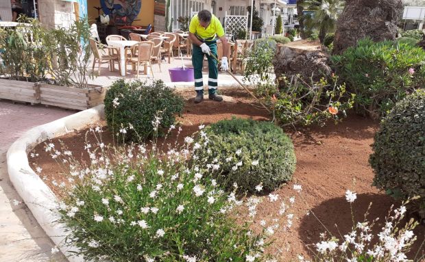 Santa Eulària licita un contrato para mejorar la eficiencia en el mantenimiento y reducir el consumo de agua en los jardines