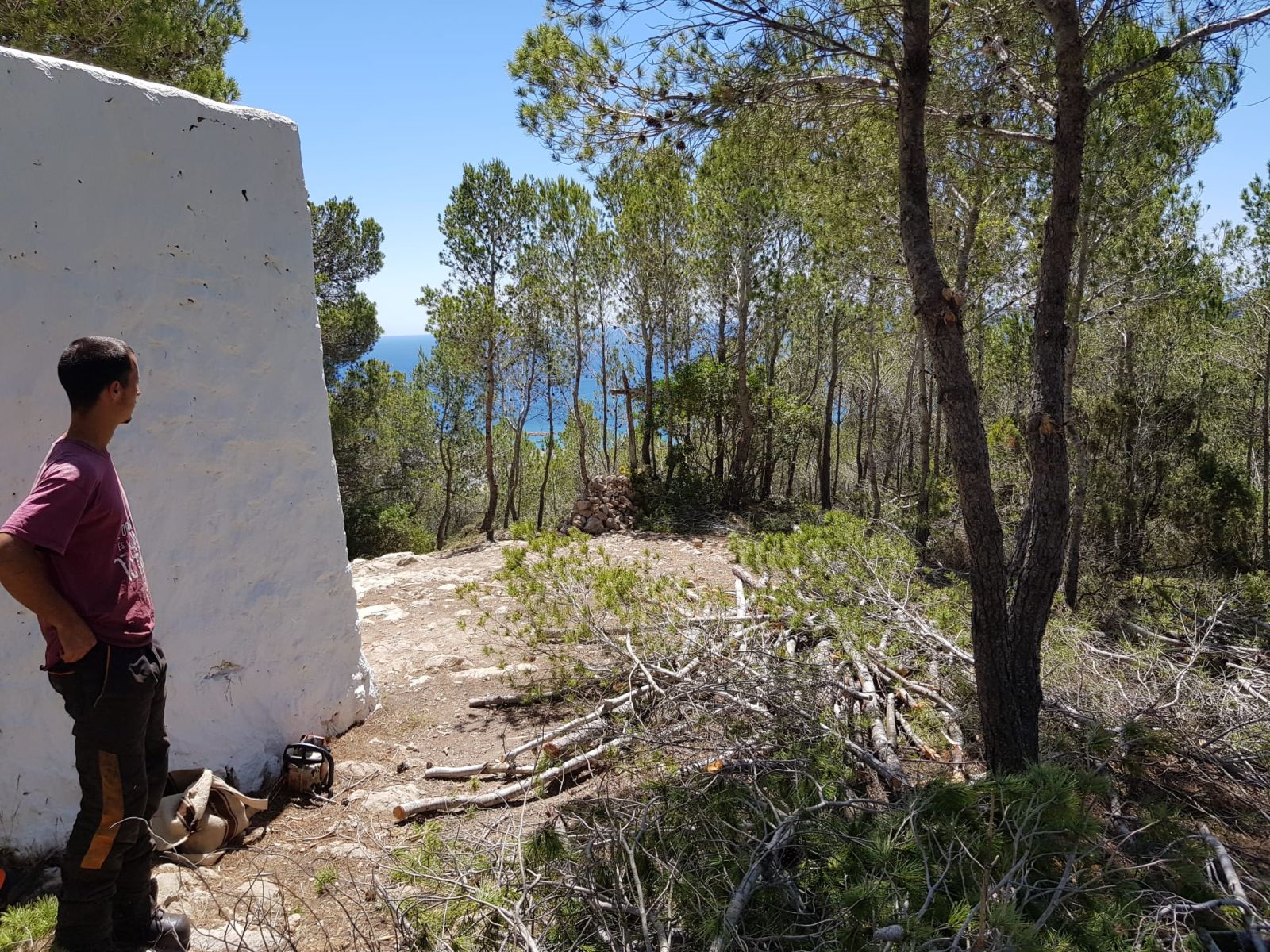 Sale a licitación la creación de 7,6 hectáreas de fajas anti incendio para proteger zonas de es Figueral y es Cap Martinet