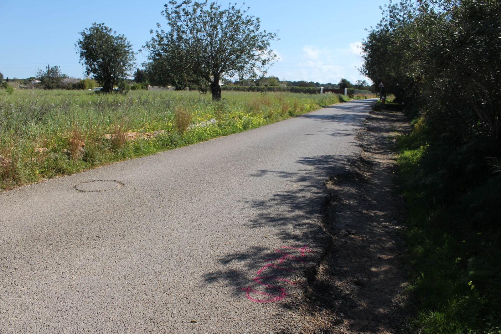 Inicio del asfaltado para la mejora de la seguridad del camino de Ca Pep Salvador que une las carreteras de Sant Carles y es Canar