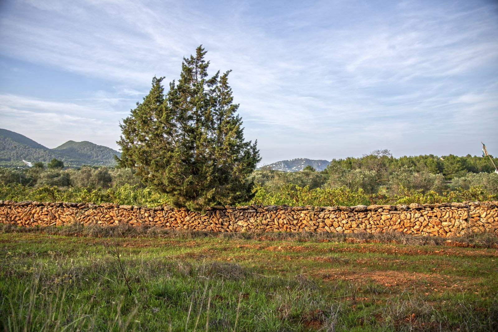 El Ayuntamiento reparte 50.000 euros en 24 ayudas para restaurar paredes de ‘pedra seca’ y otros elementos patrimoniales en el entorno rural