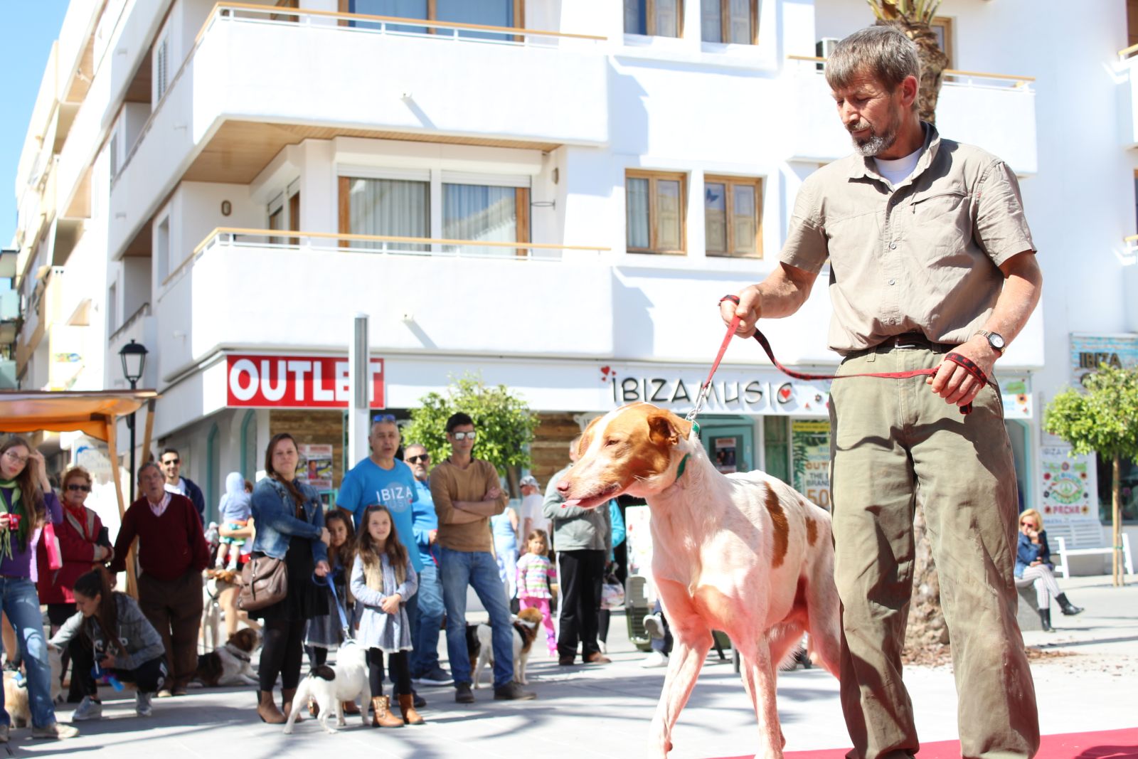 Santa Eulària des Riu inicia los trámites para elaborar un censo municipal de ADN de perros para luchar contra los excrementos no recogidos y los abandonos de camadas