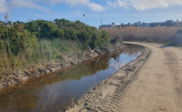 Finalizada la limpieza de canales y caminos de ses Feixes des Prat de ses Monges y el torrente de Jesús