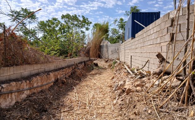 El Ayuntamiento de Santa Eulària desbroza y acondiciona caminos y canales de ses Feixes des Prat de ses Monges y de la Séquia de sa Llavanera