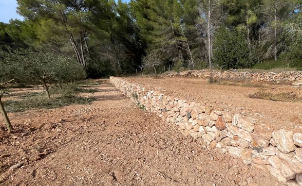 Convocadas las ayudas para la mejora del entorno rural que incluyen desde paredes de piedra a ‘trulls’ pasando por norias, aljibes o molinos