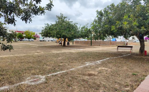 El trasplantado de tres algarrobos marca el inicio de las obras de la nueva pista de baloncesto de s’Olivera