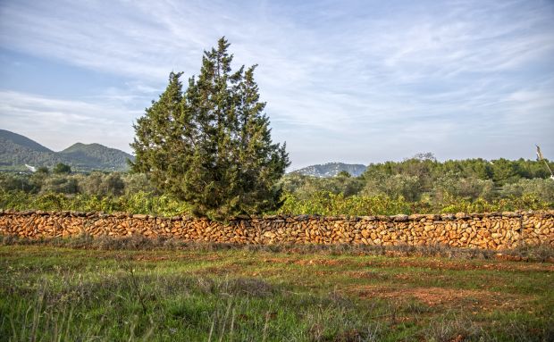 El Ayuntamiento reparte 50.000 euros en 24 ayudas para restaurar paredes de ‘pedra seca’ y otros elementos patrimoniales en el entorno rural