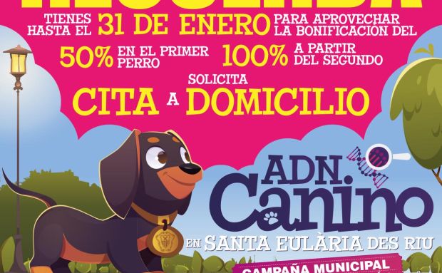 Santa Eulària des Riu approaches a thousand dogs in the municipal canine DNA genetic census system