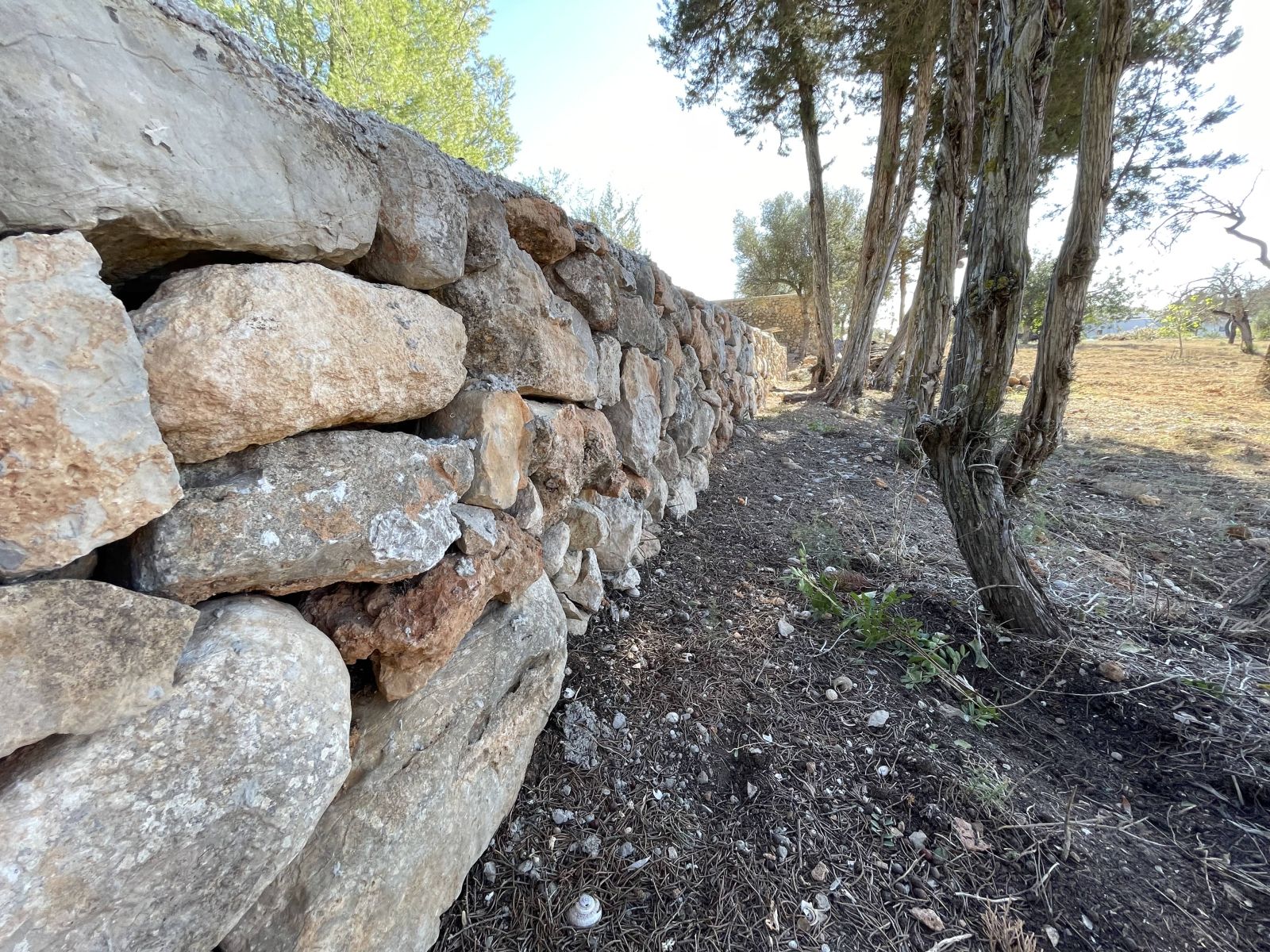 El sábado finaliza el plazo para pedir las ayudas para la mejora del entorno rural que incluyen desde paredes de piedra a ‘trulls’ pasando por norias, aljibes o molinos