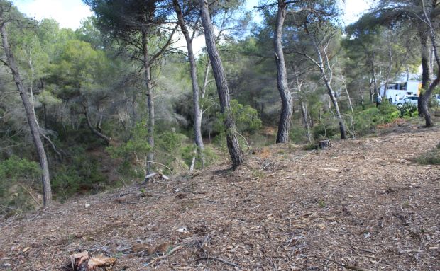 Adjudicadas provisionalmente una decena de ayudas a particulares para ejecutar fajas de protección contra incendios