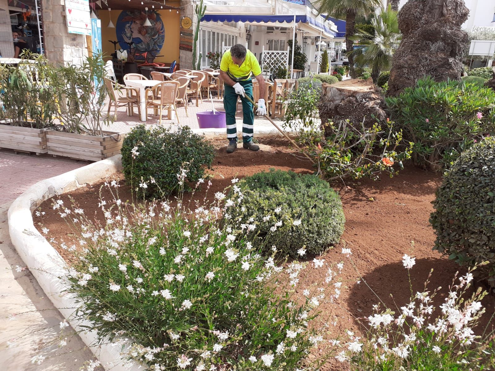 Santa Eulària licita un contrato para mejorar la eficiencia en el mantenimiento y reducir el consumo de agua en los jardines