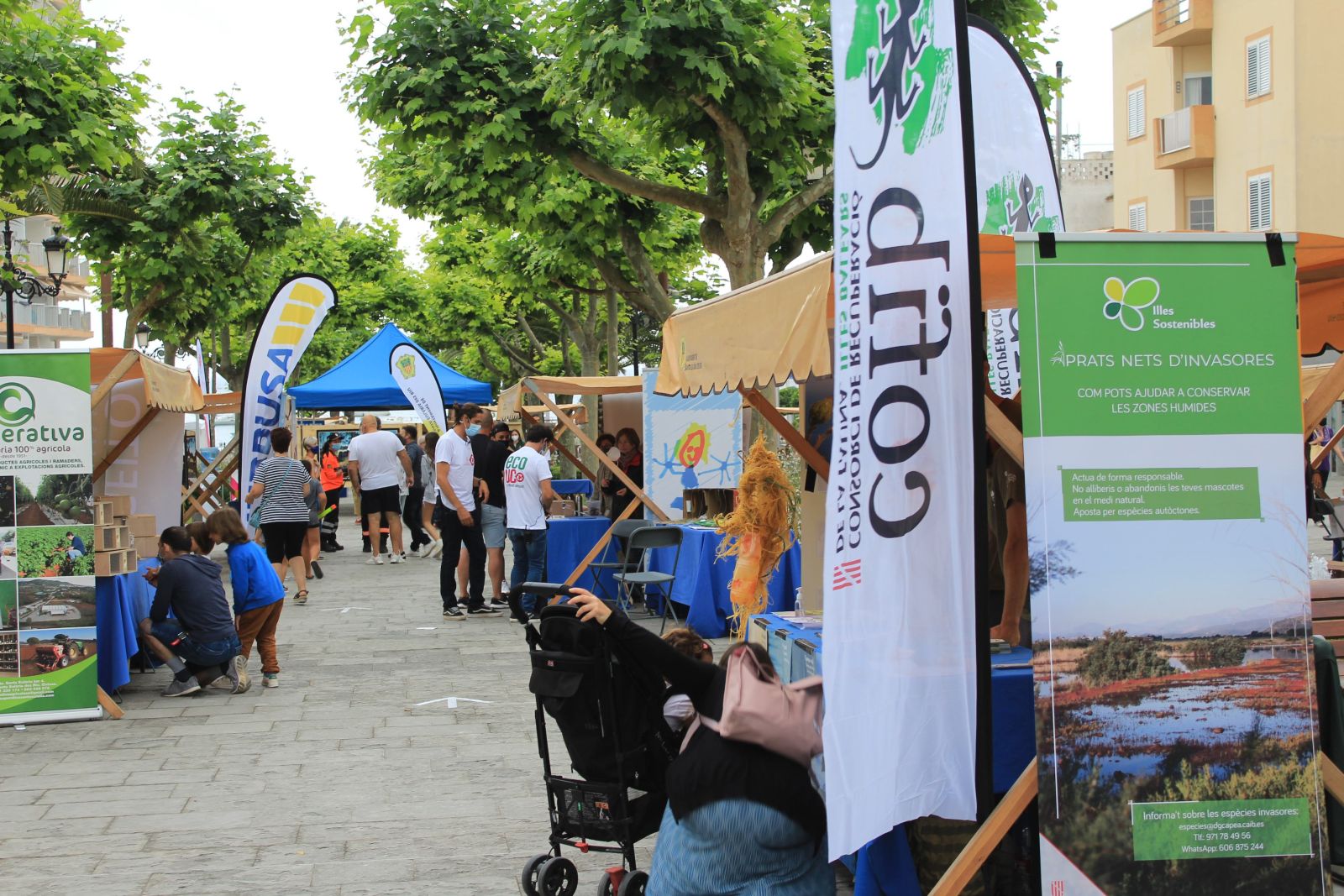 ECOUC volverá a reunir en junio a administraciones, ONG y empresas de gestión y productos sostenibles para conmemorar el Día Mundial del Medio Ambiente   