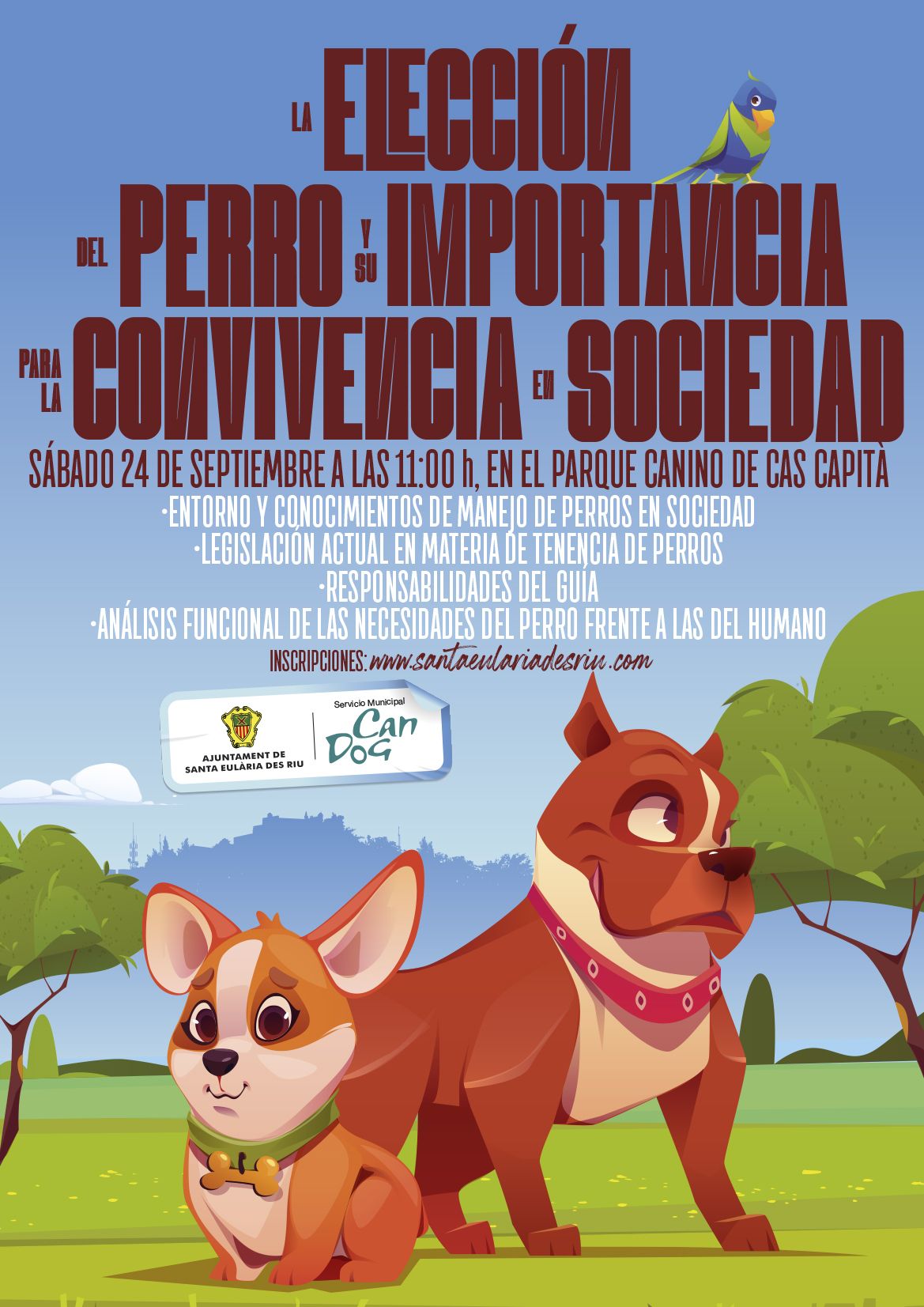 Medio Ambiente organiza en el parque canino de Cas Capità un taller para la correcta elección de los perros en adopción y su convivencia en la sociedad   